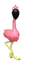 flamingo_standing_looking_md_clr.gif